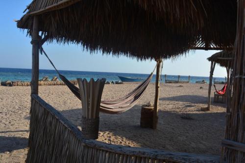 Imagen general del New Galluma Camp. Foto 11