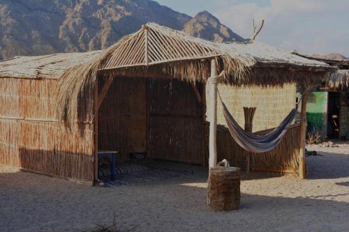 Imagen general del New Galluma Camp. Foto 13