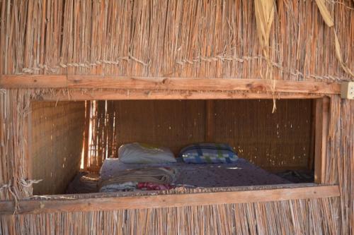 Imagen general del New Galluma Camp. Foto 16