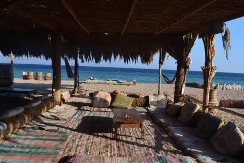 Imagen general del New Galluma Camp. Foto 17