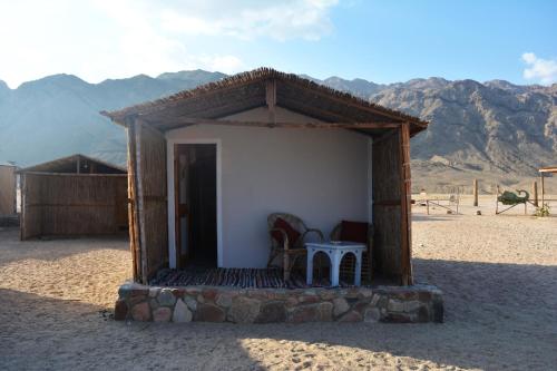 Imagen de la habitación del New Galluma Camp. Foto 19