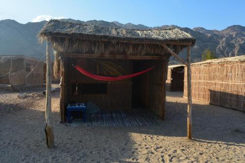 Imagen de la habitación del New Galluma Camp. Foto 20