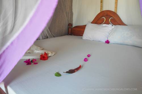 Imagen de la habitación del New Jambo Bungalows. Foto 3