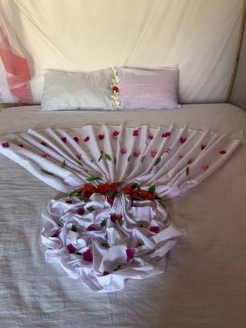 Imagen de la habitación del New Jambo Bungalows. Foto 4