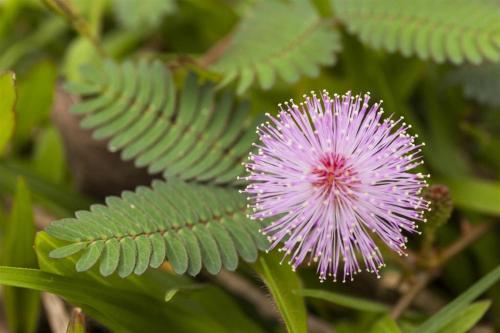 Imagen general del New Merdeka Hotel. Foto 11