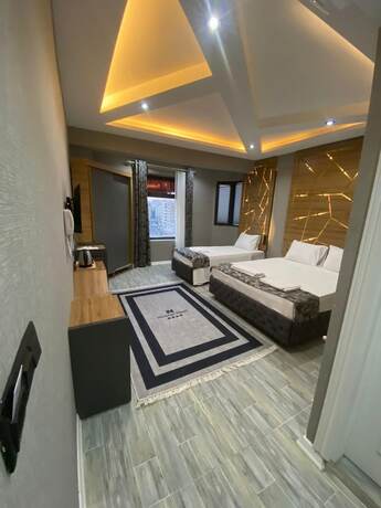 Imagen de la habitación del Newton Otel. Foto 6