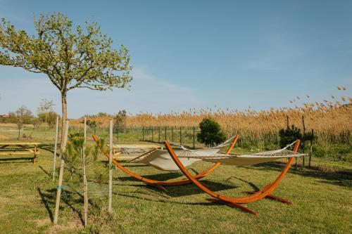 Imagen general del Nice Camps - L Estartit. Foto 12