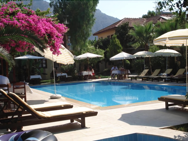 Imagen de la piscina del Nirvana Apart Hotel. Foto 16