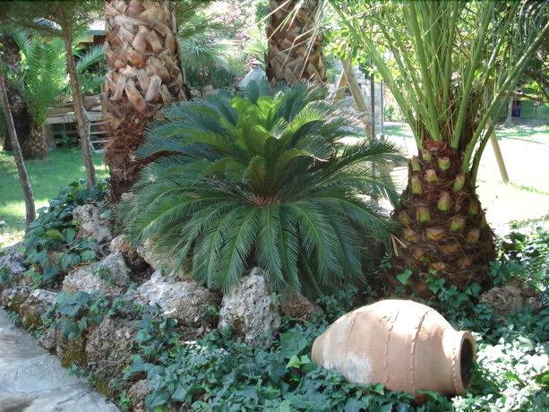 Imagen de los exteriores del Nirvana Apart Hotel. Foto 11