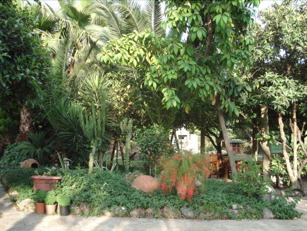 Imagen de los exteriores del Nirvana Apart Hotel. Foto 13