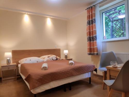 Imagen general del Noclegi Strzelec Karpacz. Foto 15