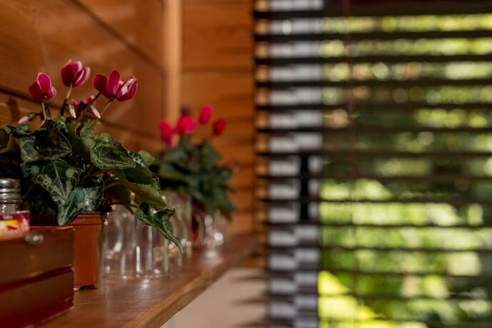 Imagen de la habitación del Nofey Habashan. Foto 36