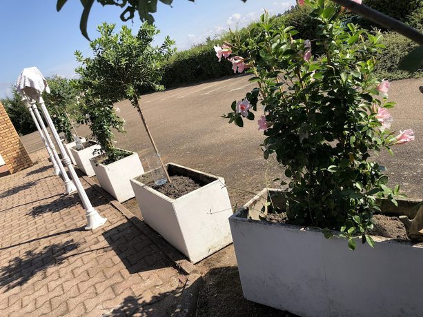 Imagen de los exteriores del Norton H&ocirc;tel. Foto 14