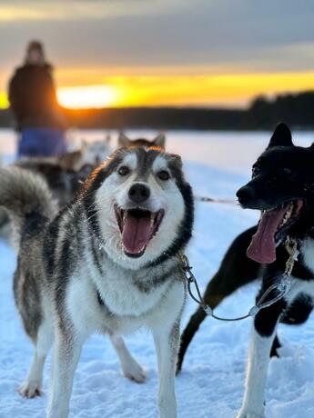 Imagen general del Norwide - Hossan Lomakeskus. Foto 27