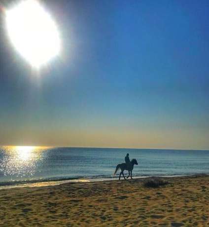 Imagen general del Nova Port Boutique Hotel. Foto 4