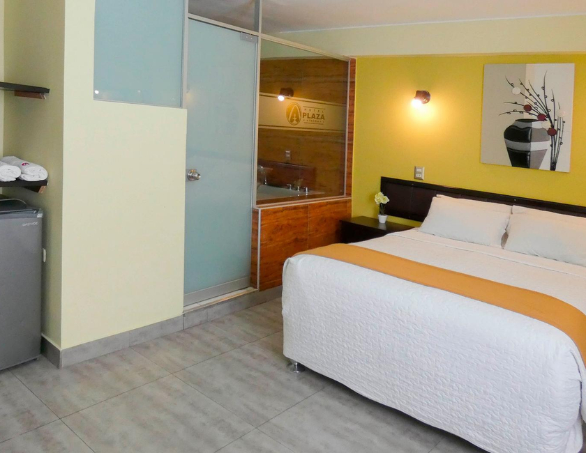 Imagen general del Nuevo Hotel Plaza El Carmen. Foto 16