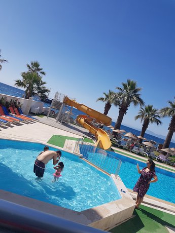 Imagen de la piscina del Nuova Beach Hotel. Foto 20