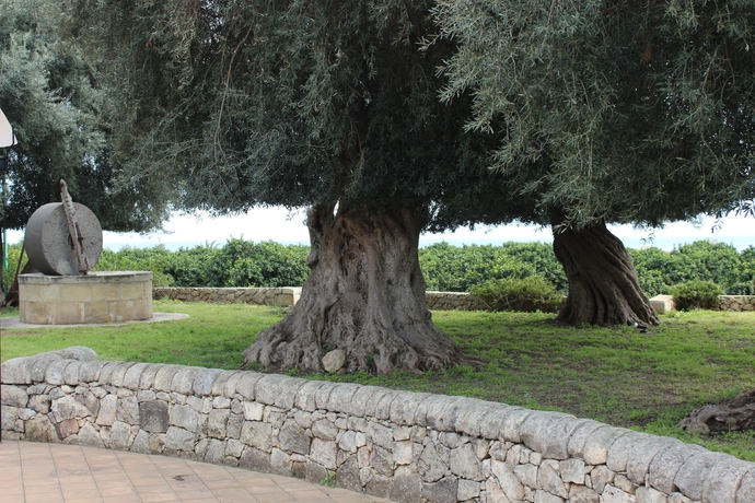 Imagen de los exteriores del Nuovo Castello Crisilio. Foto 14