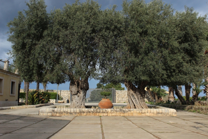 Imagen general del Nuovo Castello Crisilio. Foto 9