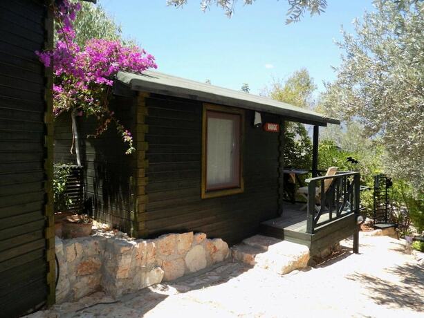 Imagen general del Nuri\'s Beach Bungalow. Foto 4
