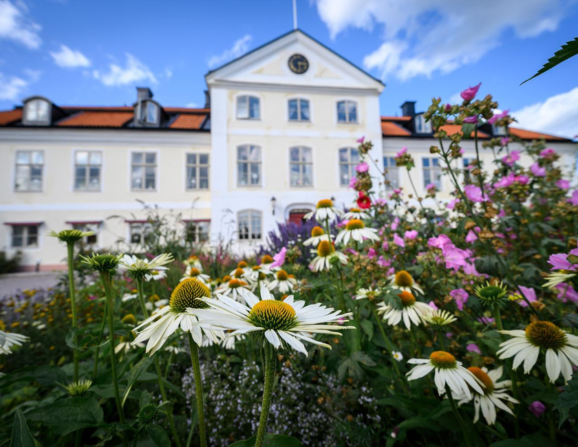 Imagen general del Nyg&aring;rden Stj&auml;rnholm. Foto 21
