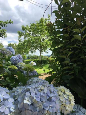 Imagen general del O Pazo da Briona. Foto 7