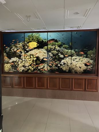 Imagen del bar/restaurante del ODRYS BEACH HOTEL and RESORT. Foto 2