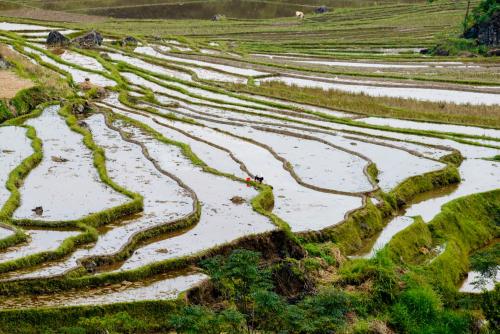Imagen de la habitación del OH Pu Luong Homestay. Foto 20