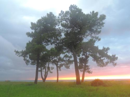 Imagen general del OK house!. Foto 8