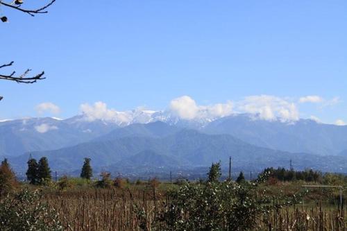 Imagen general del OK house!. Foto 10