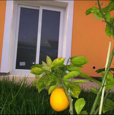 Imagen general del ORANGE guest house. Foto 8