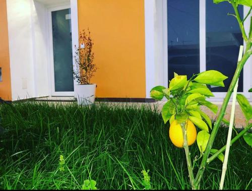 Imagen general del ORANGE guest house. Foto 9