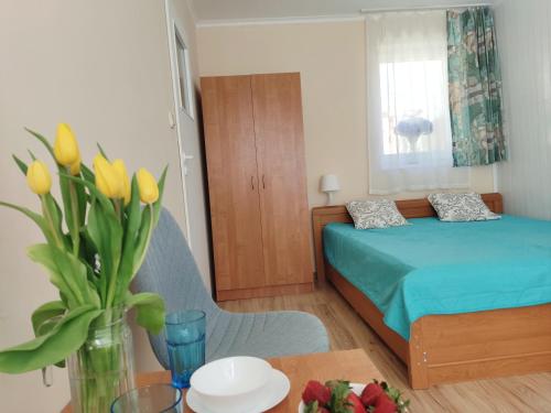 Imagen general del OW Heljan Międzywodzie. Foto 12