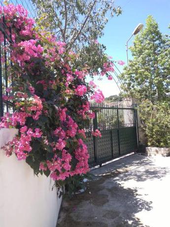 Imagen general del Oasis Hostel, Himarë. Foto 1