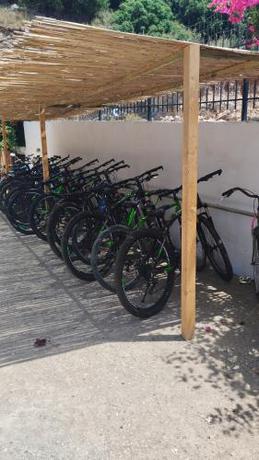 Imagen general del Oasis Hostel, Himar&euml;. Foto 15