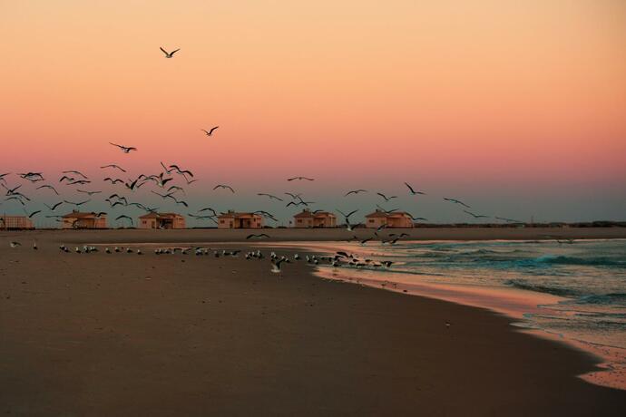 Imagen general del Oc&eacute;an Vagabond Lassarga. Foto 3