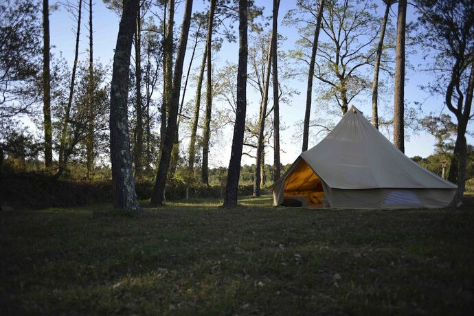 Imagen de la habitación del Ocean Shelter. Foto 16