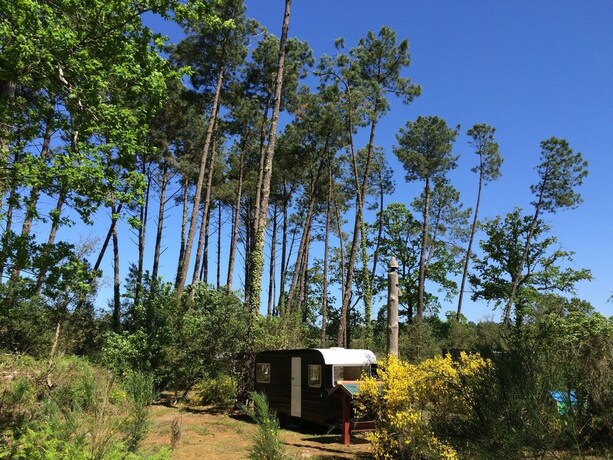 Imagen de la habitación del Ocean Shelter. Foto 20