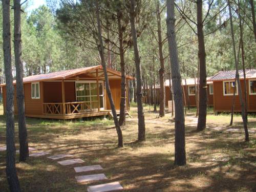 Imagen de la habitación del Odeceixe Bungalow-parque De Campismo Sao Miguel. Foto 6