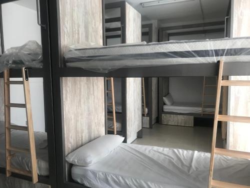 Imagen general del Ola Verde Tarifa. Foto 7