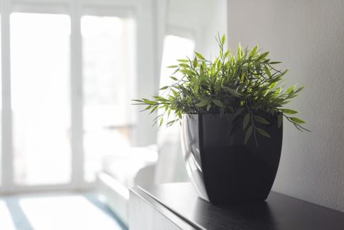 Imagen general del Old Town Apartments by Olala Homes. Foto 6