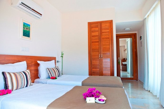 Imagen general del Olea Nova Hotel. Foto 3