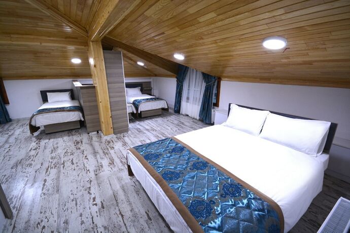 Imagen de la habitación del Olgassys Butik Otel. Foto 18