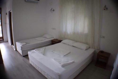 Imagen de la habitación del Olimpia Hotel, Olympos. Foto 4