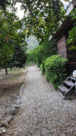 Imagen general del Olimpos Ada Bungalov. Foto 4