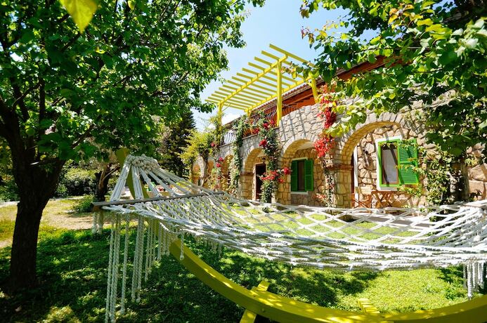 Imagen general del Olive Farm Of Datca. Foto 13