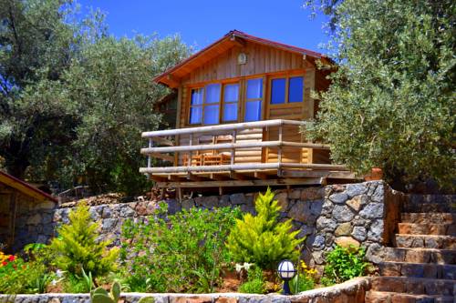 Imagen de la habitación del Olive Garden Kabak. Foto 1