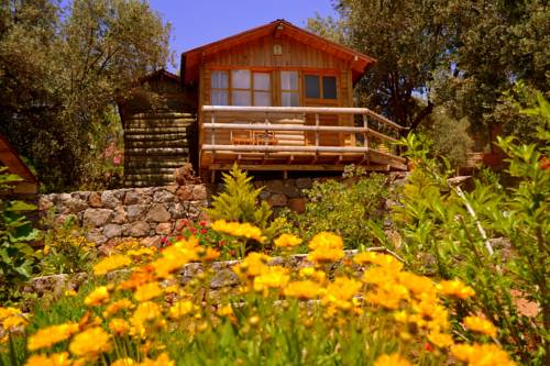 Imagen de la habitación del Olive Garden Kabak. Foto 3