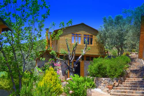 Imagen de la habitación del Olive Garden Kabak, Faralya. Foto 6