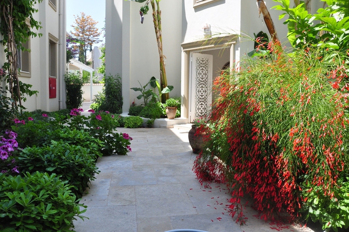 Imagen de los exteriores del Olivias Group Hotel. Foto 11